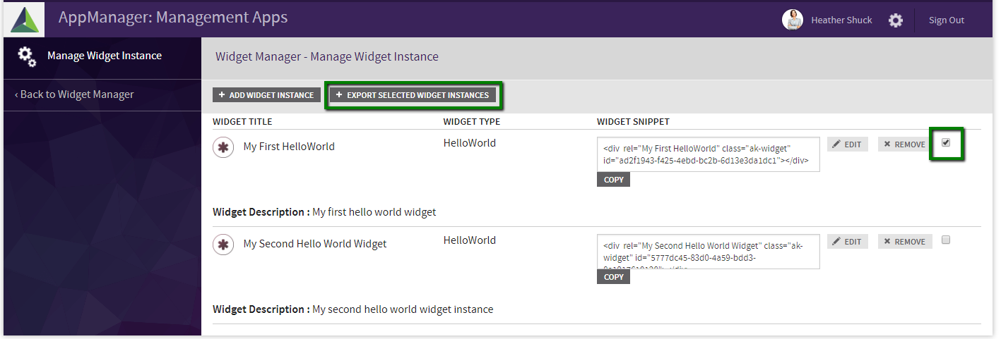 export selected instances